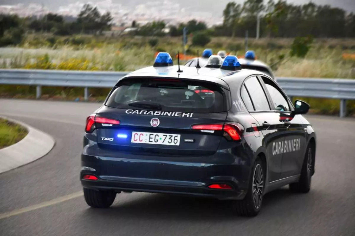 WhatsApp-Image-2025-12-19-at-173117