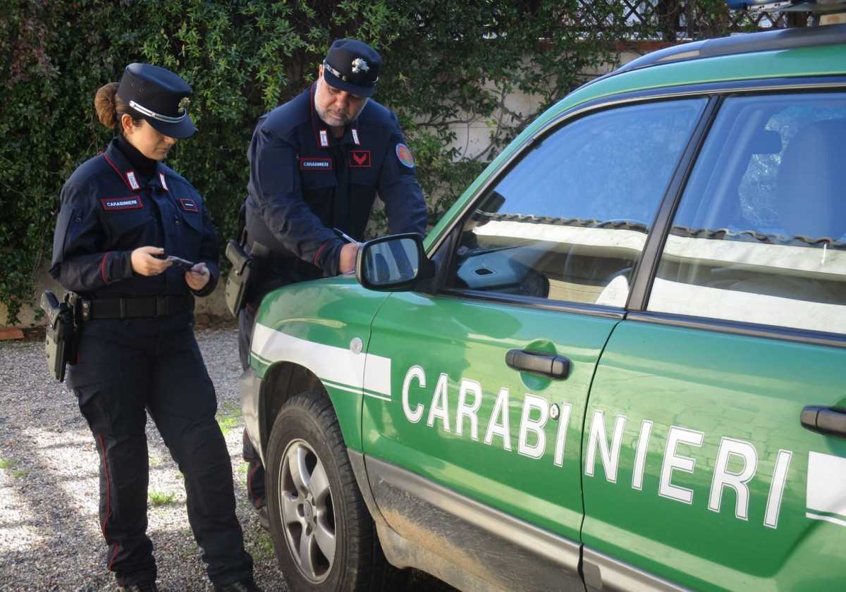 Carabinieri Forestali Youtg carabinieri-forestali-youtg