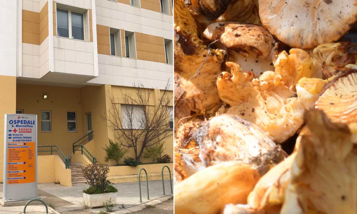 ospedale-san-marcellino-e-funghi