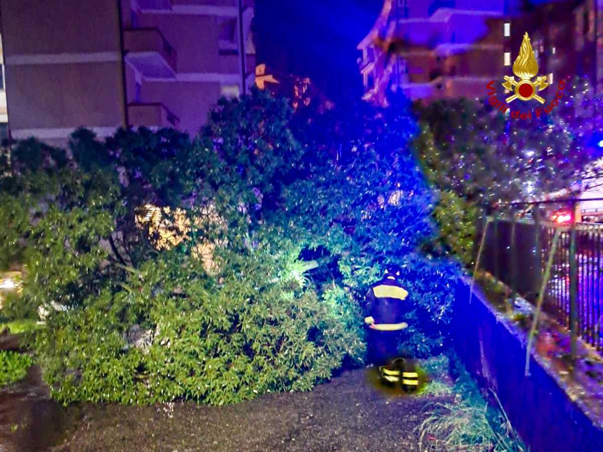 WhatsApp-Image-2026-01-19-at-185241