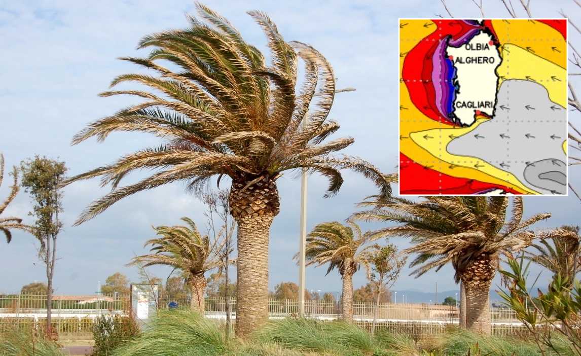 raffiche-vento-palme-sardegna