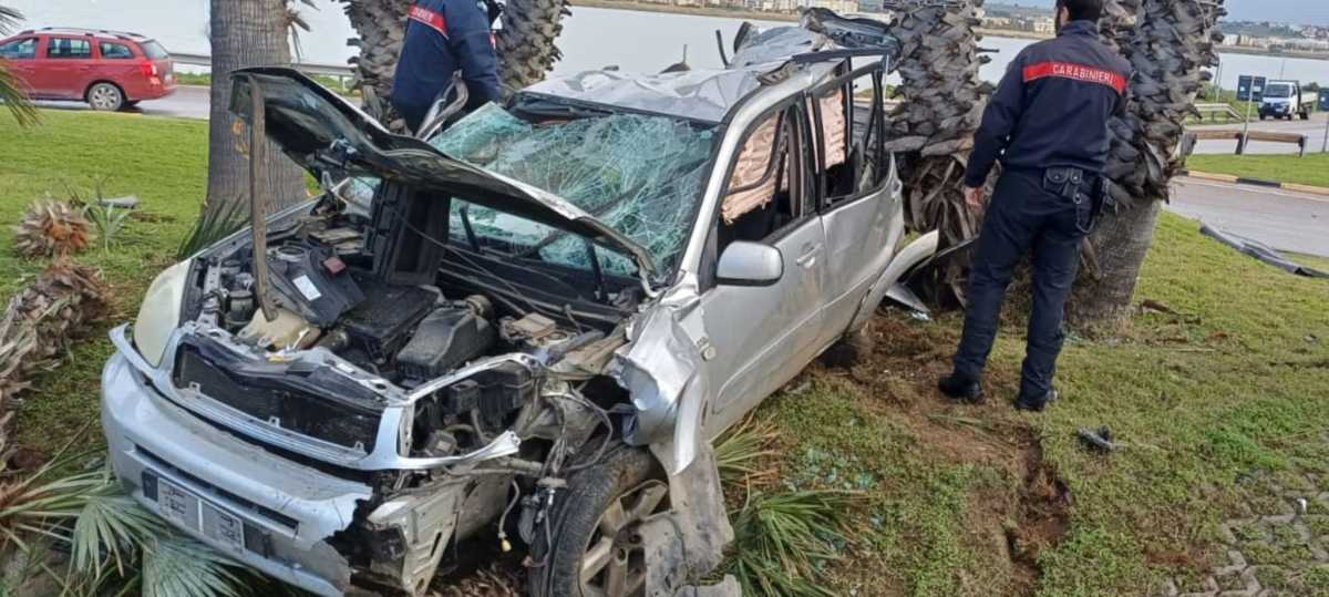 WhatsApp-Image-2026-02-12-at-121545