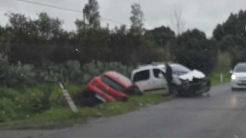 WhatsApp-Image-2026-02-19-at-133544