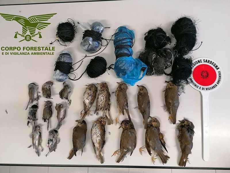 55146591467b14d46492ac