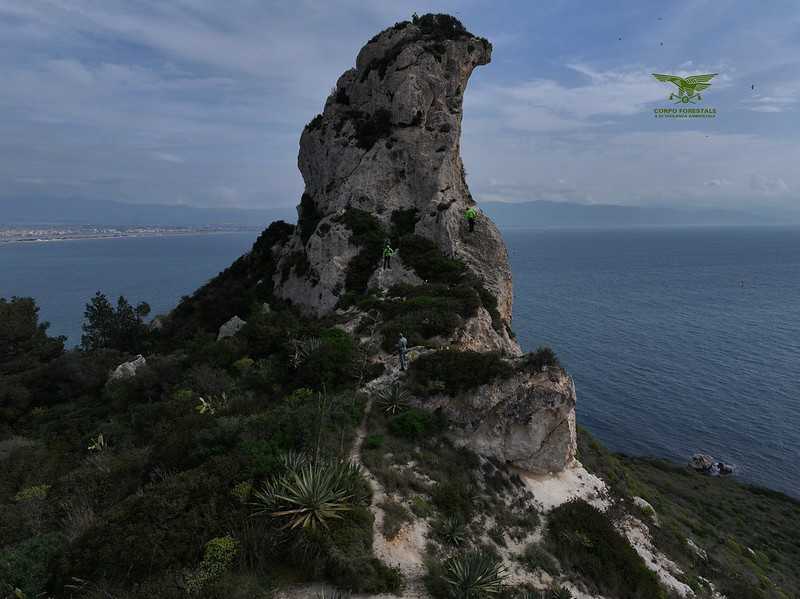 55150145817cc512dbde8c