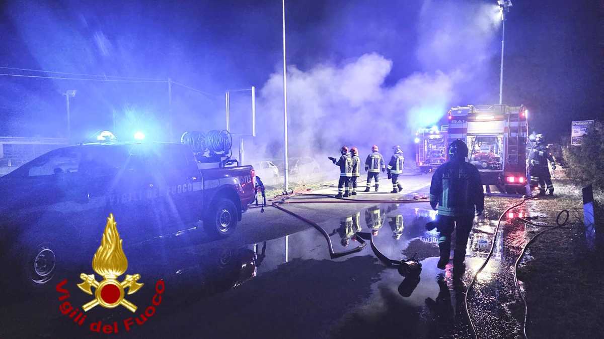 WhatsApp-Image-2026-03-14-at-082856