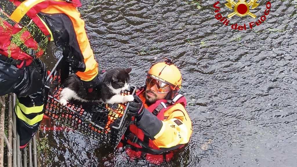 WhatsApp-Image-2026-03-26-at-174012