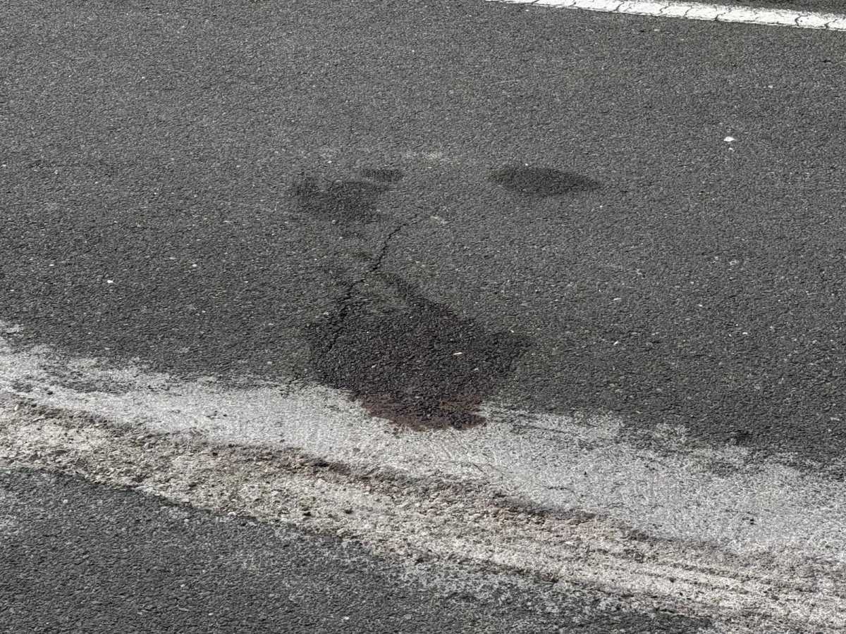 le-tracce-di-sangue-sullasfalto