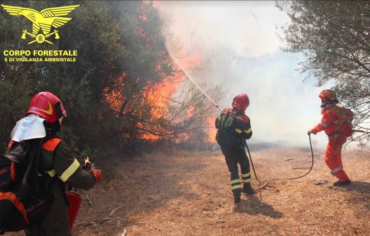 Corpo Forestale Roghi 53 corpo-forestale-roghi-53