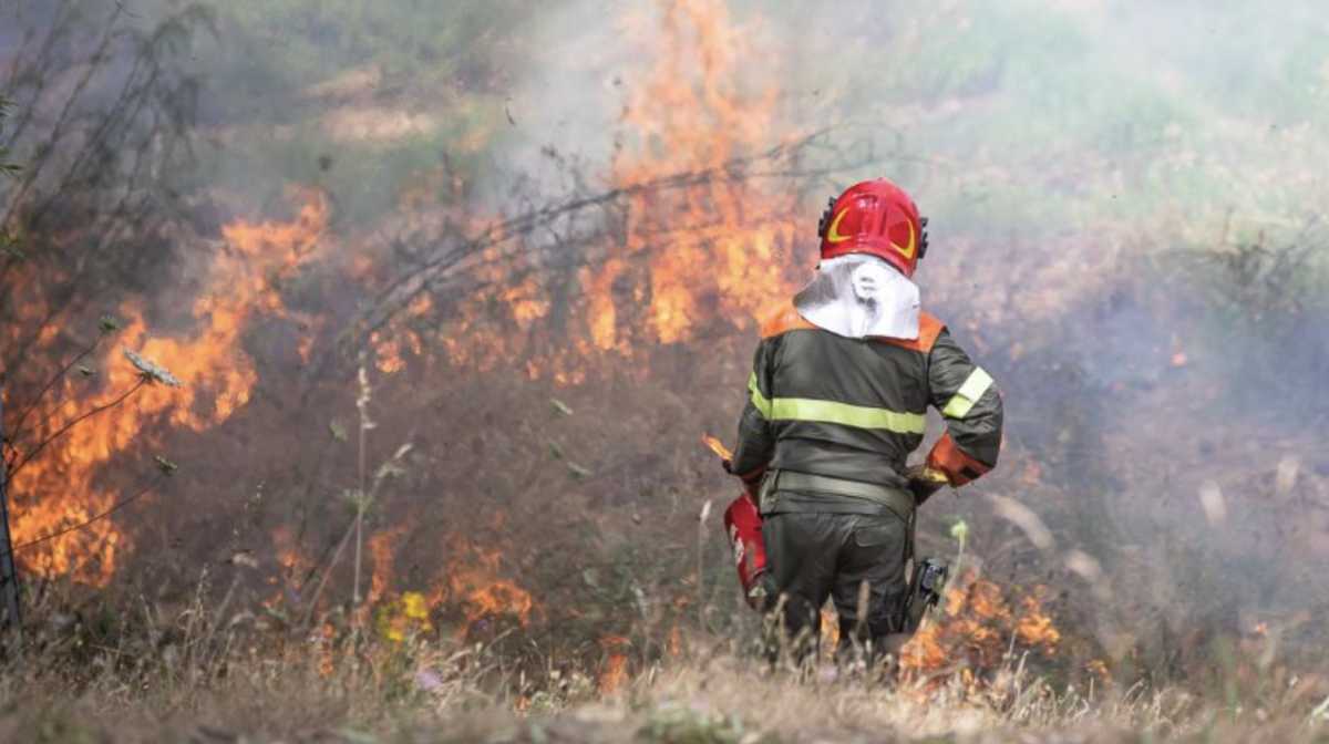 Incendio Corpo Forestale Intervento incendio-corpo-forestale-intervento