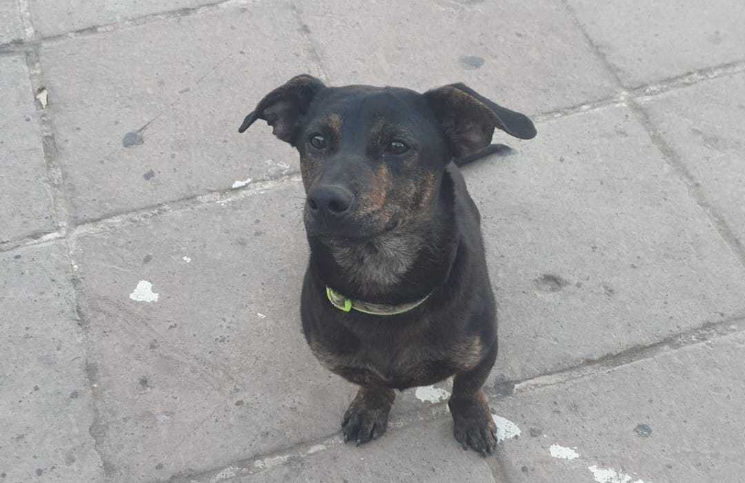 jack-ucciso-dolianova