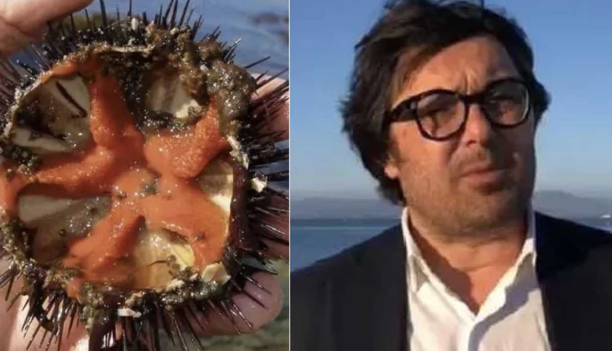 ricci-ignazio-locci
