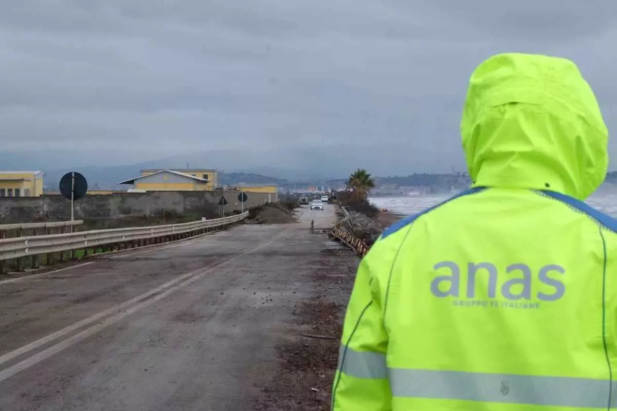 6a293ac1df1fd Anas-195