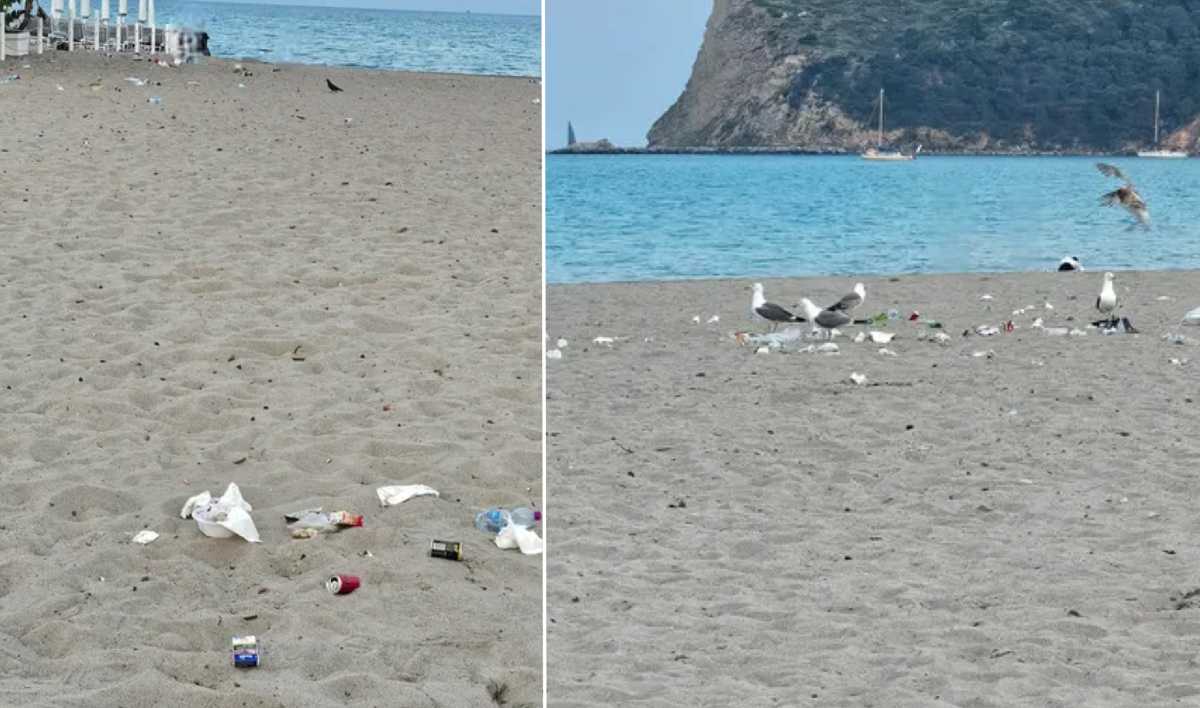 gabbiani-rifiuti-spiaggia-poetto-