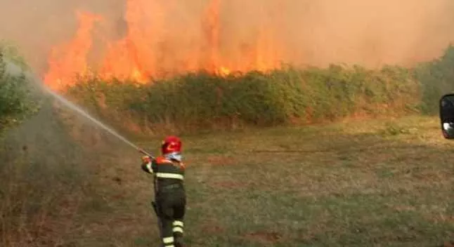 incendio-corpoforestale-