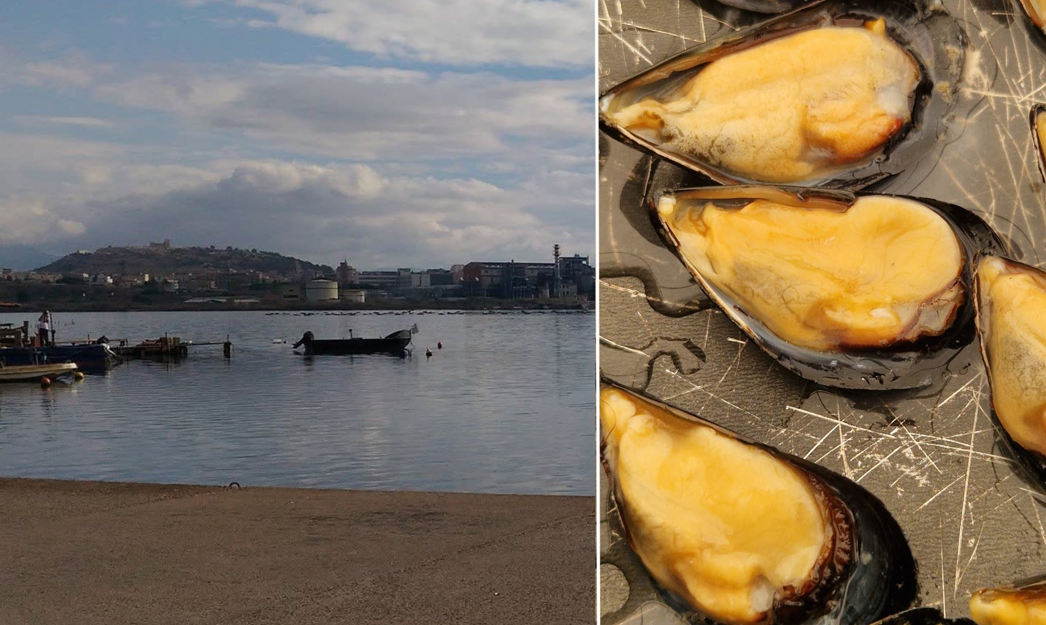 laguna-santa-gilla-cozze