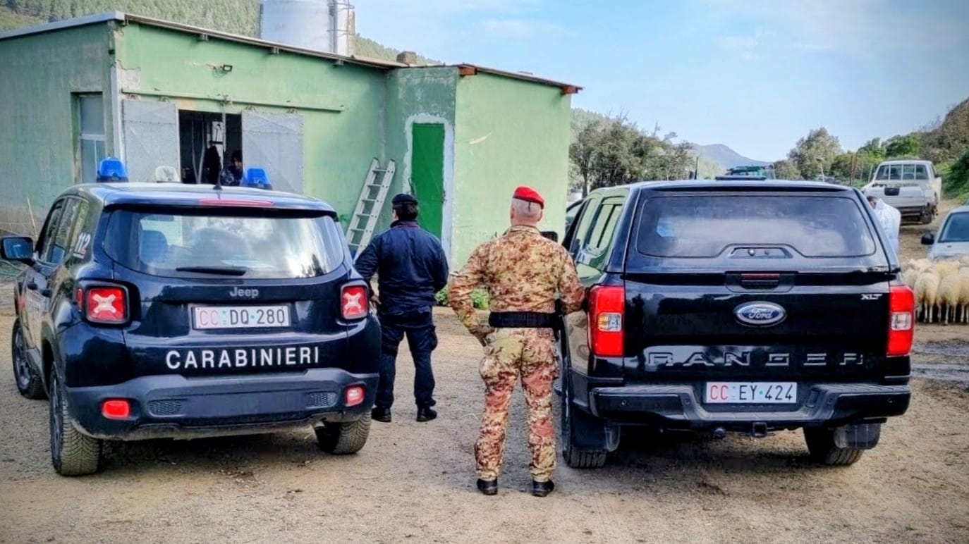 carabinieri-armi-sequestri-estate