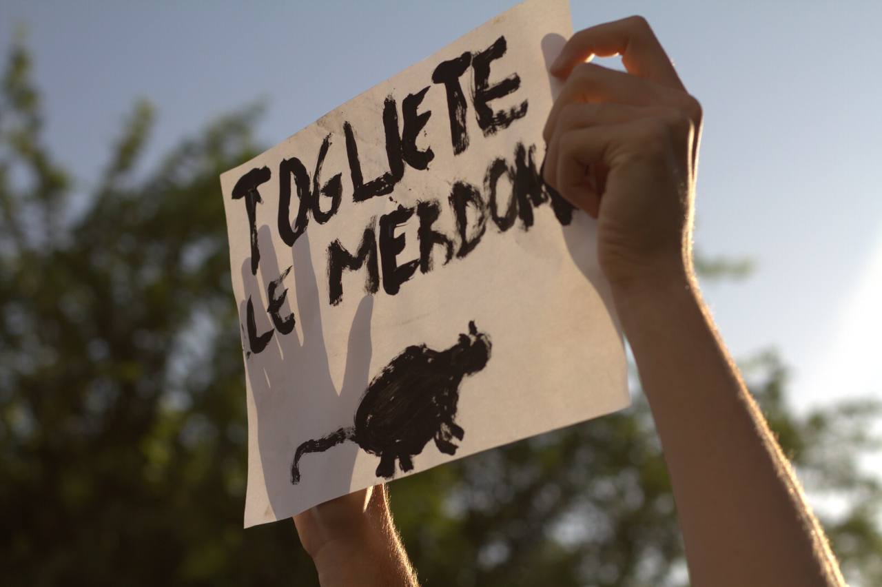 togliete-le-merdone togliete-le-merdone