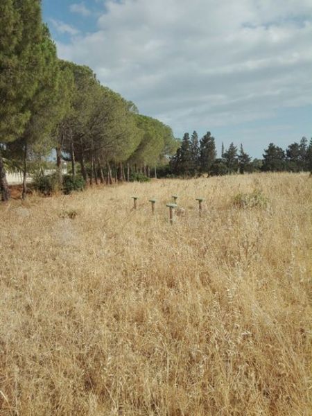 Incendi-Quartu-3