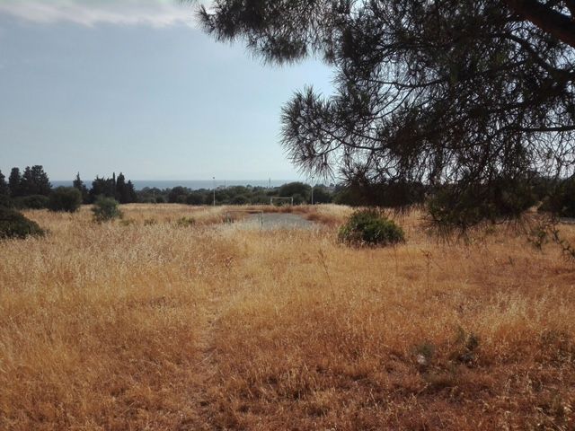 Incendi-Quartu-4