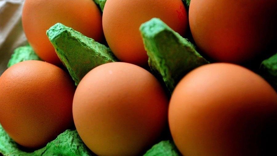 Eggs