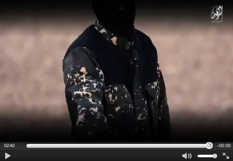 Isis Boia
